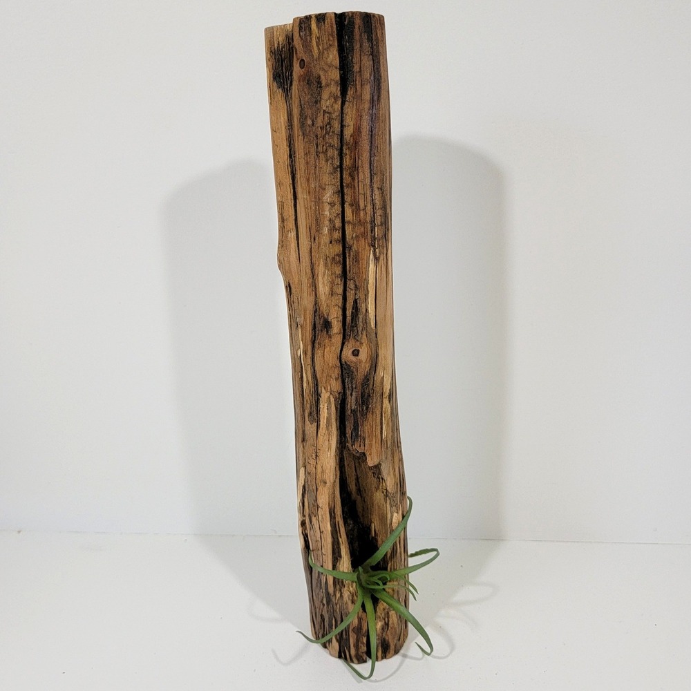 Natural Driftwood Air Plant Holder Rustic Log Planter Sculpture Home Decor